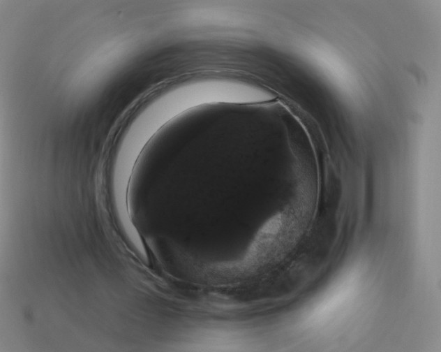 X0000114120387200910191728