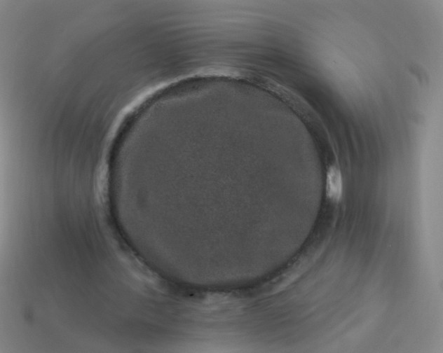 X0000114120388200910191728