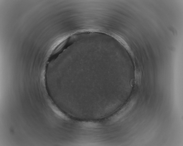 X0000114120389200910191728