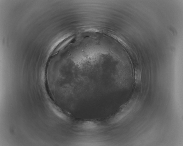 X0000114120390200910191728