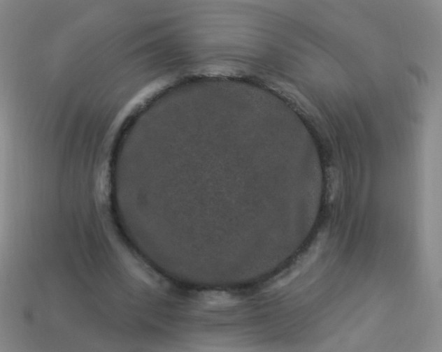 X0000114120392200910191727