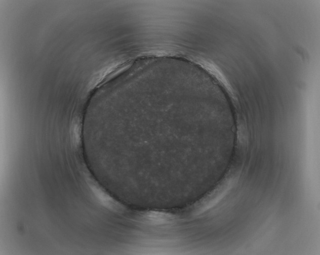 X0000114120393200910191727