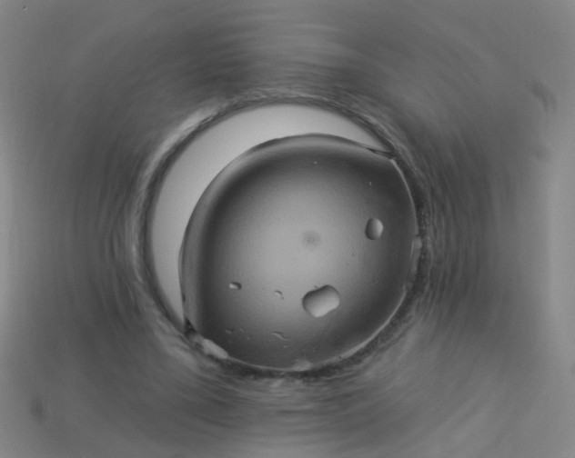 X0000114120395200910191727