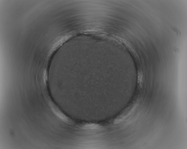 X0000114120397200910191727