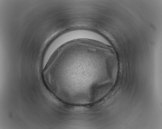 X0000114120399200910191727