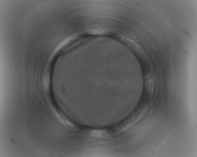 X0000114120400200910191727