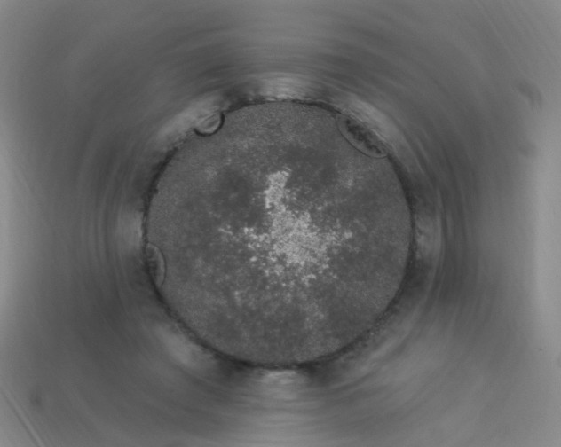 X0000114120401200910191727