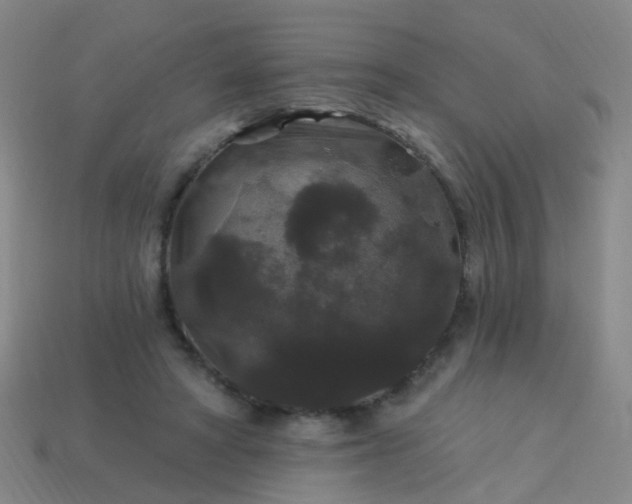 X0000114120402200910191727