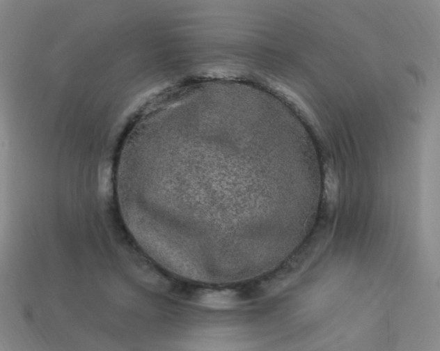 X0000114120403200910191727