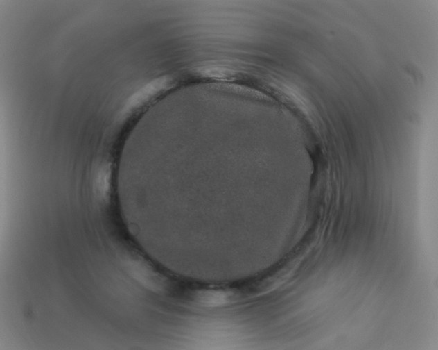 X0000114120404200910191727