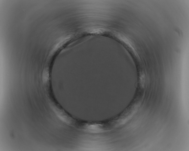 X0000114120407200910191727