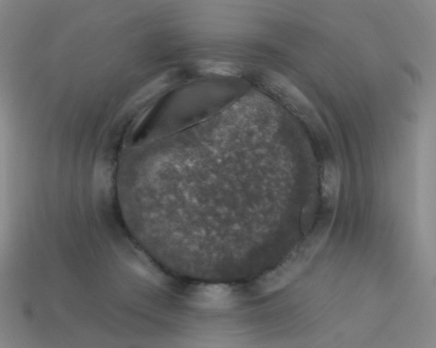 X0000114120409200910191727