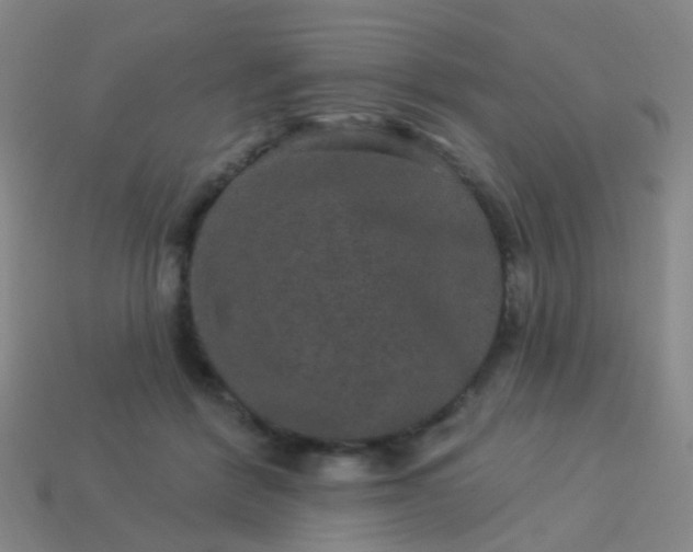 X0000114120412200910191727