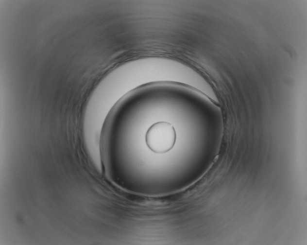 X0000114120413200910191727