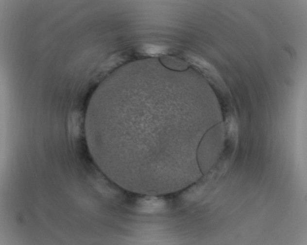 X0000114120421200910191727