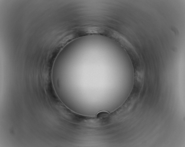 X0000114120422200910191727