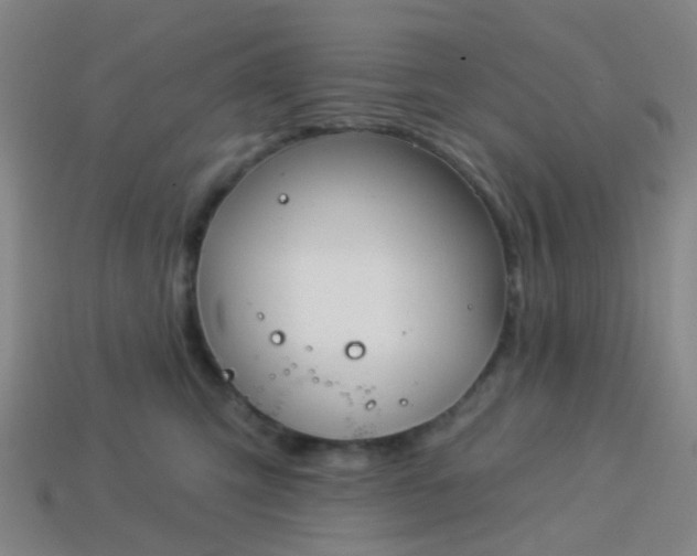 X0000114120423200910191727