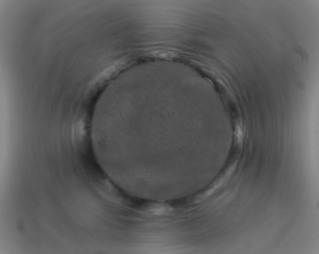 X0000114120424200910191727