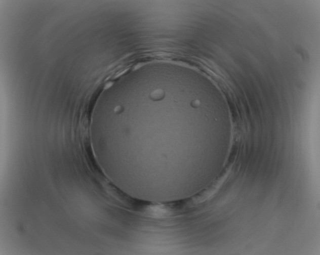 X0000114120425200910191727