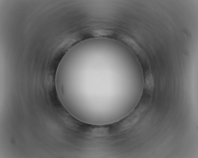 X0000114120426200910191727