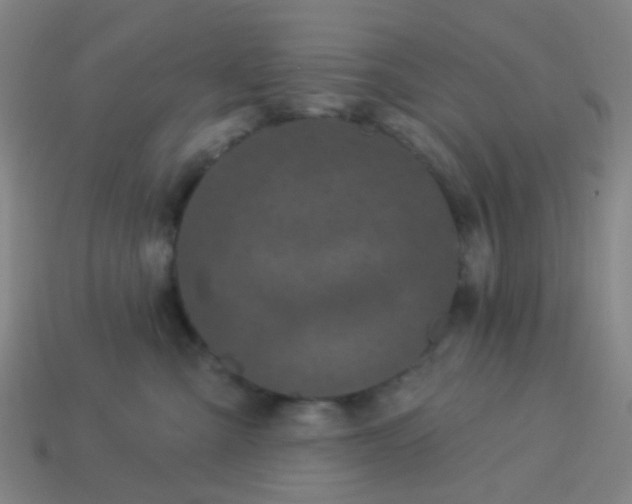 X0000114120427200910191727