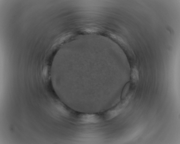 X0000114120428200910191727