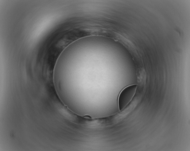 X0000114120430200910191727