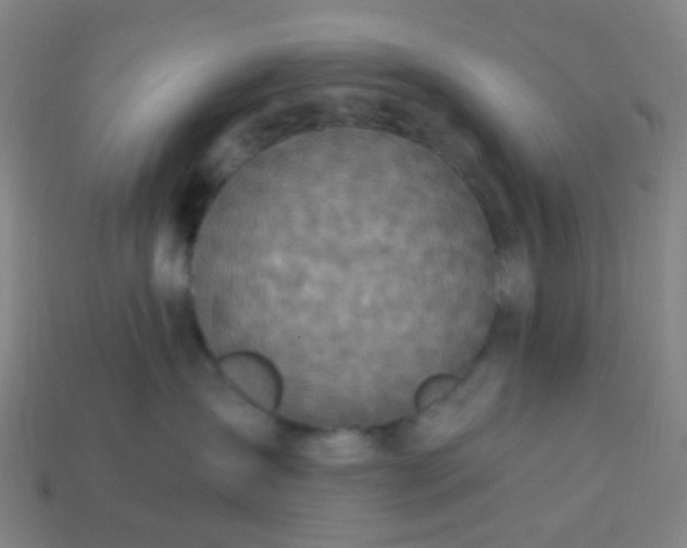 X0000114120431200910191727