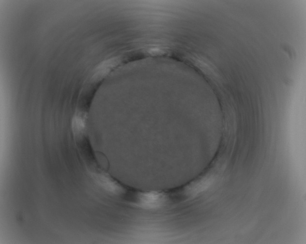 X0000114120432200910191727