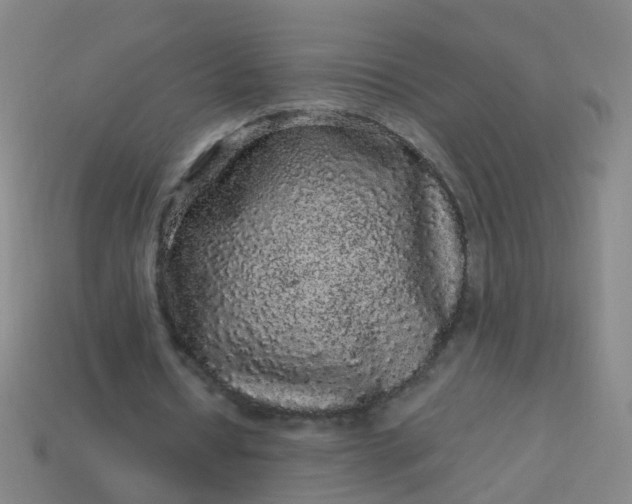 X0000114120434200910191726