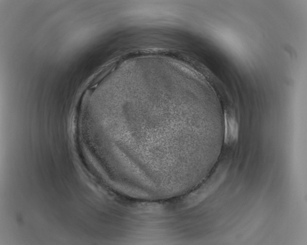 X0000114120435200910191726