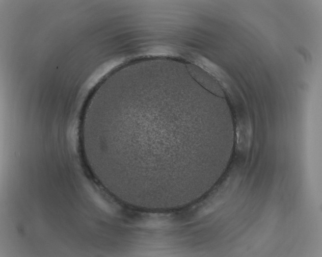 X0000114120436200910191726