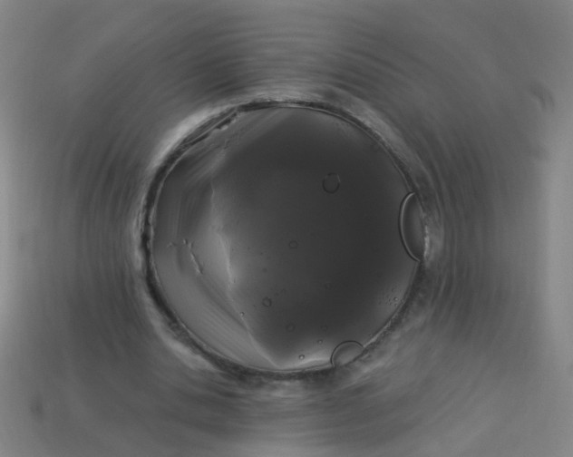 X0000114120438200910191726