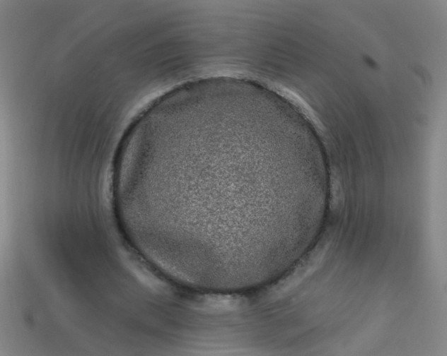 X0000114120439200910191726