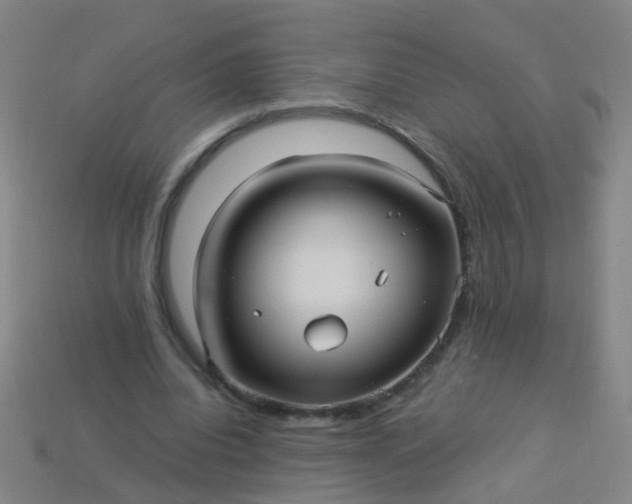 X0000114120440200910191726