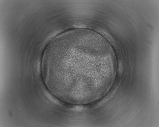 X0000114120441200910191726