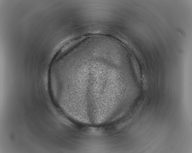 X0000114120442200910191726