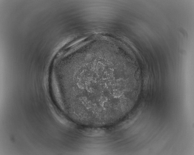 X0000114120443200910191726