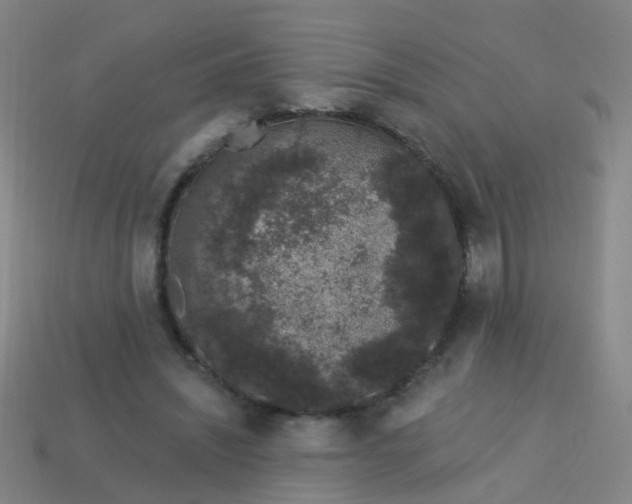 X0000114120444200910191727