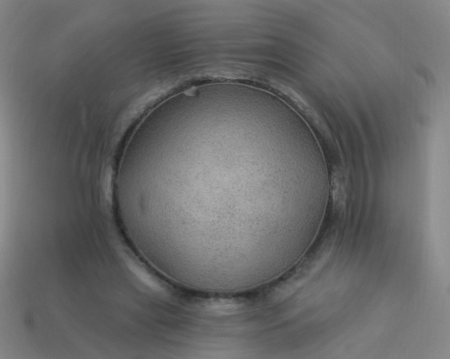 X0000114120445200910191727