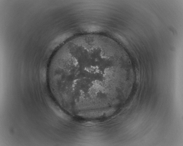 X0000114120447200910191727