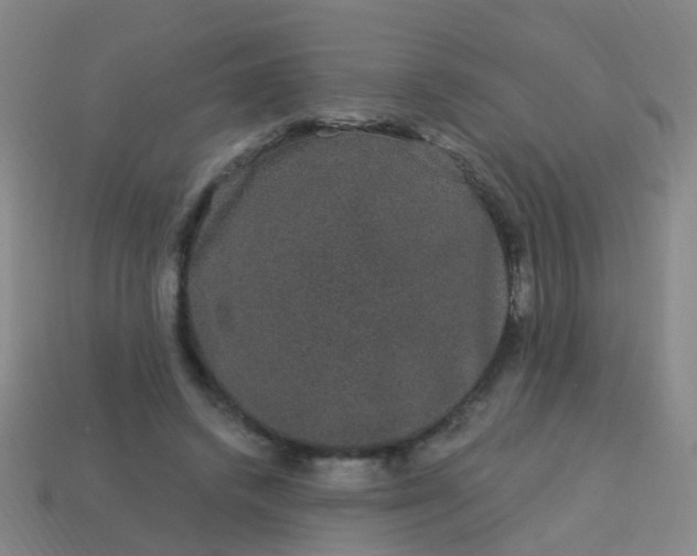 X0000114120448200910191727