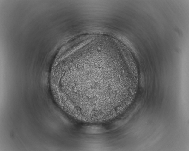 X0000114120449200910191727