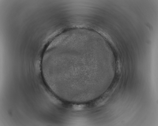 X0000114120450200910191727