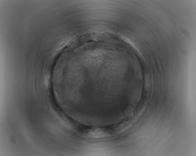 X0000114120451200910191727