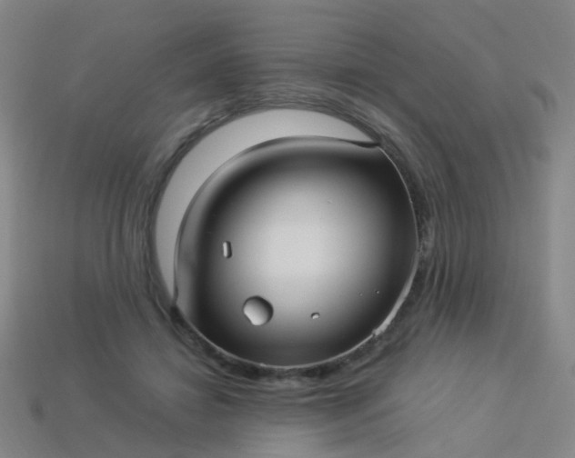 X0000114120452200910191727