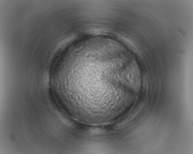 X0000114120453200910191727