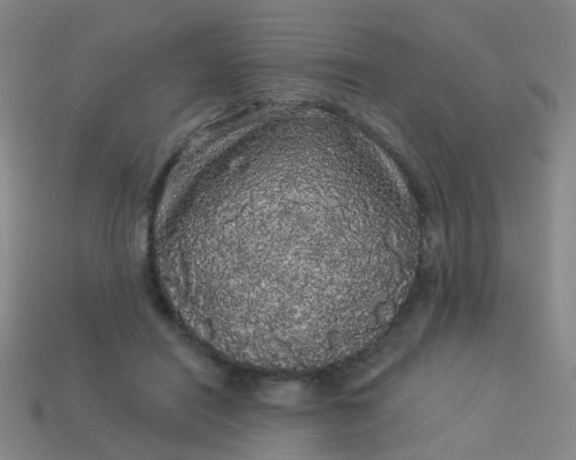 X0000114120454200910191727