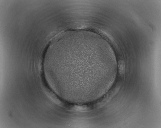 X0000114120455200910191727