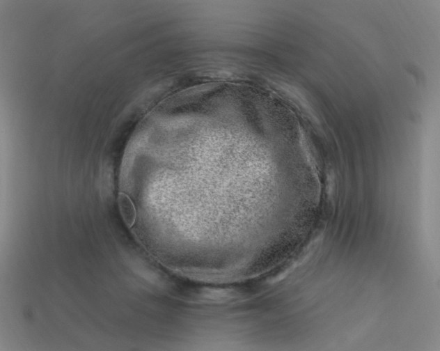 X0000114120457200910191727